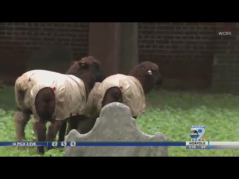 Take A Look At This - 9/5/2018