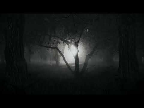stendal blast faehrmann - Official Music Video