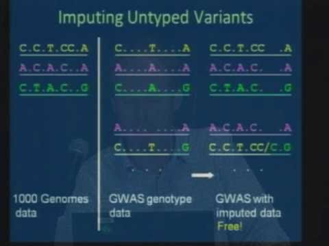 Introduction to 1000 Genomes Tutorial - Gil McVean