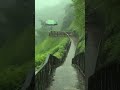 Yuhi Baras Baras Kali Ghata Barse Instrumental ️ Viral Trending Rain Zarazara Shorts Music