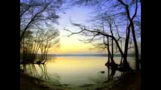 Alzo Don't Ask me Why