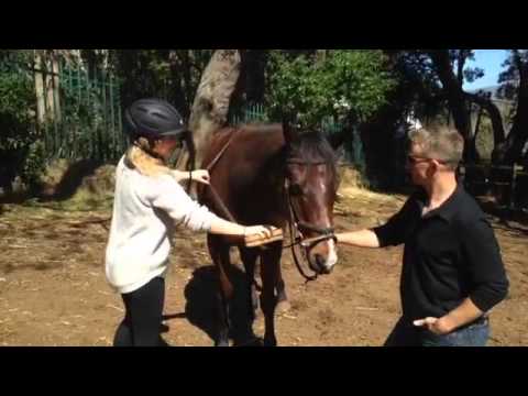 South African wins Mongol Derby