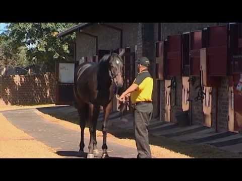 Vercingetorix - the legacy - Kevin Harris - 2014