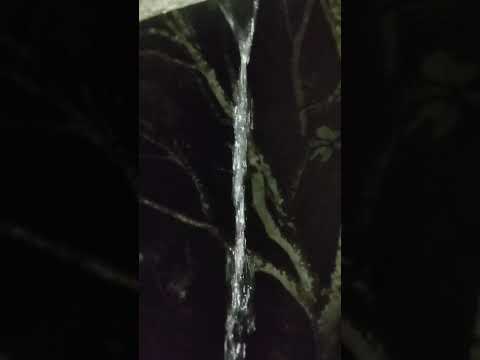 🇧🇷 IBIAPINA CEARÁ, 08/03/2026 #pesca #fishing #agua #fish #pescaria