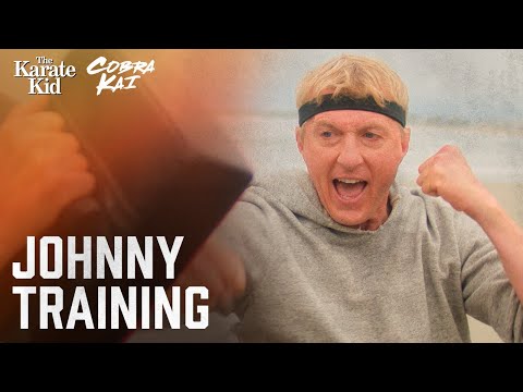 "You’re the Best" Returns – Johnny’s Training Montage | Cobra Kai (William Zabka, Ralph Macchio)
