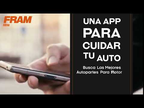 Afinación FRAM Autolite