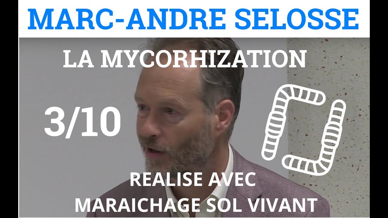 3/10 - Marc-André SELOSSE - La Mycorhization - L'Endomycorhize à arbuscule