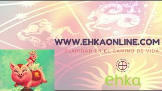 Año del Cerdo 2019 | número personal maestro