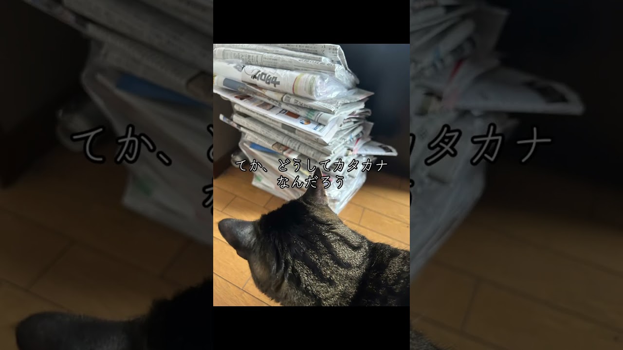なんでカタカナなんだろう？