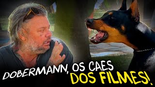 Miniatura do vídeo