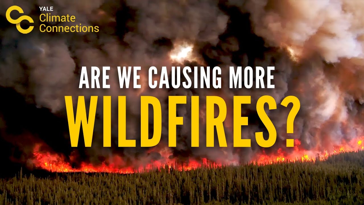 Are we causing more wildfires?