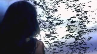 Redbone - Beautiful Illusion (HD)