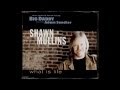 Shawn Mullins- What Is Life