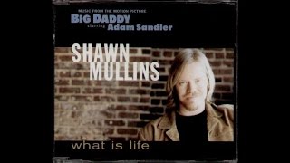 Shawn Mullins- What Is Life