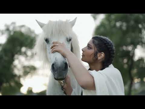 🏇 1 HOUR of AMAZING HORSES 🏇 From Around the World - Best Relax Music, Meditation, Stress Relief