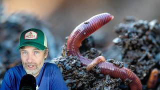 When A Garden is Rocky Beyond Reason + Using Vermicompost