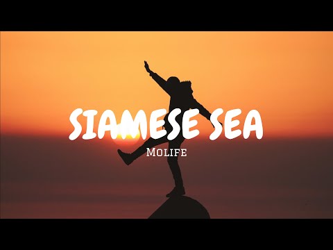 Molife - Siamese Sea