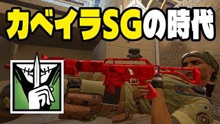SPAS-15の強化後が強すぎた【シージ/R6S】