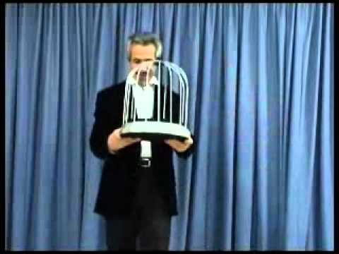 Automatic Fire Cage w/ DVD by Tora - www.MJMMagic.com