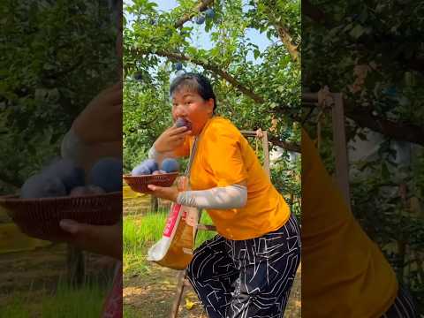 The farmer's black-colored fruits are very delicious//#fruitfarming