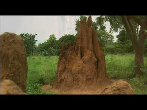 MICROPOLIS (2006) - Kampf der Giganten - Deutscher Trailer (de) - HD