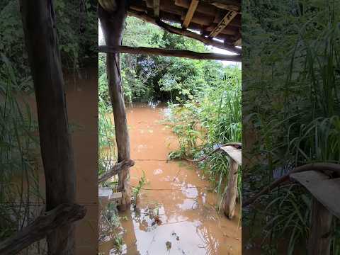 Rio itaueira Piauí #agua #interior #nordeste #muitachuva