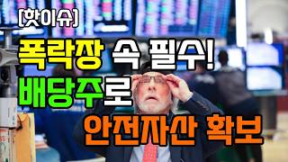미국 주가요동에 피난처는 배당? #미국주식전망 #배당투자 #ETF