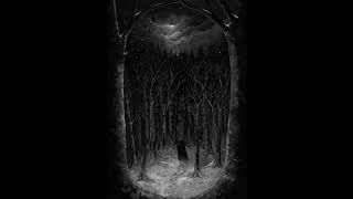 Music video thumbnail preview for Paysage d'Hiver - Wurzel [official] by Paysage d’Hiver