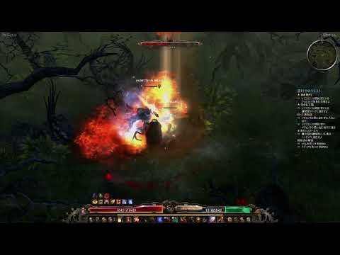 Grim Dawn 1.1.9.7  Fire Elementalist vs Ravager of Souls
