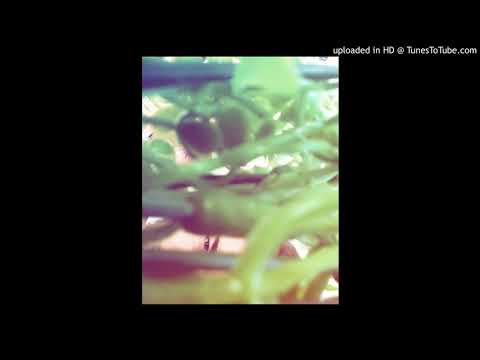 DK9 EL MENTALISTA - YO YA HE ESTADO (PROD. JAY CAS)