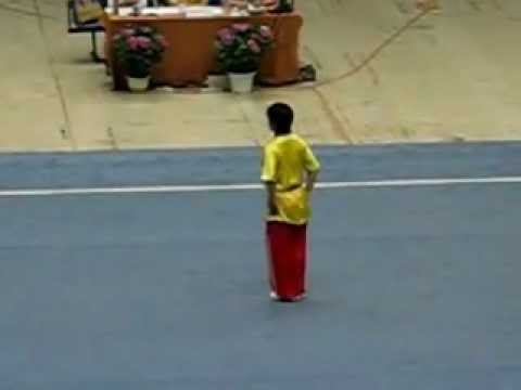 Liu Xiao Lei (Beijing) - Changquan 01 [2006 China Women's Wushu National Qualifiers]