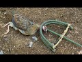 Wild Man: Create Amazing Trap to Catch Forest Quail in The Jungle
