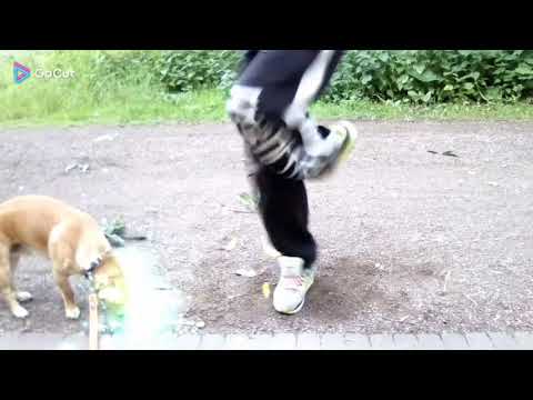 CoSmO Core feat. Psycho M - Do you like it Hard 2023