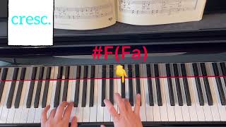 Cover art for My frog