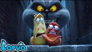 Download lagu Larva Movie 2026:Malt’s Savage Prank Terrifies Yellow and Red—What Happens Next Is Unbelievable! 😱🐱 mp3