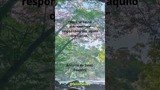 Você é Responsável pelo que Cativa