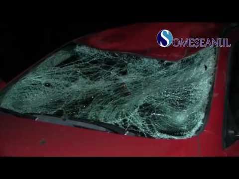 Accident rutier la Fundătura. BMW distrus de un animal