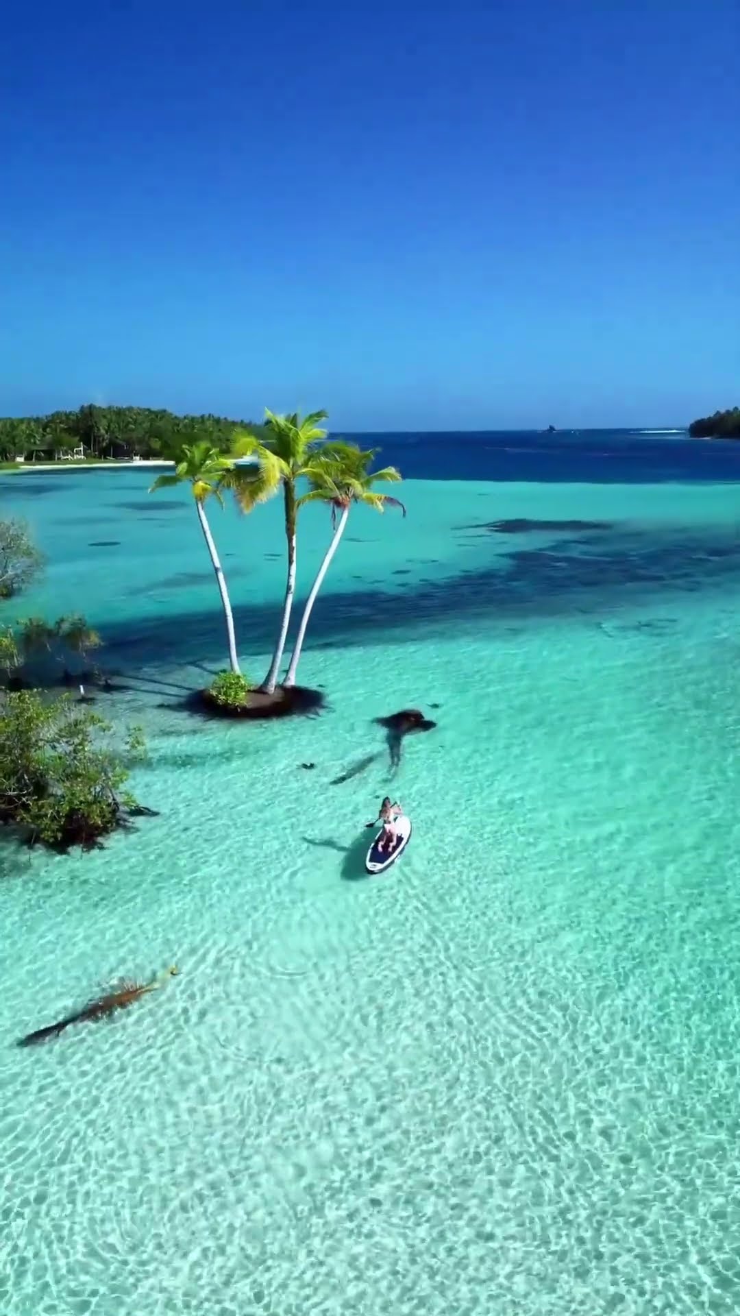 Siapkan koper kamu! 🌊 Mentawai, Danau Surga Banggai, dan Bali siap memanjakan mata dan hati. Ayo eksplor keindahan alam...