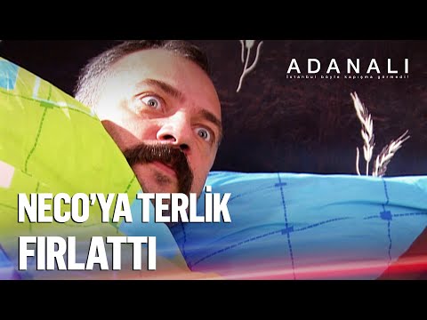İzin gününde Adanalı'yı uyandırırsanız... - Adanalı 77. Bölüm