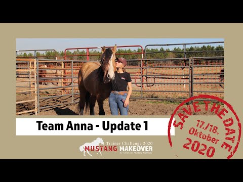 MUSTANG MAKEOVER 2020 - Team Anna (TAG 4981) - Update 1