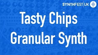Video thumbnail for Tasty Chips - GR-1 Granular Synthesizer // Synthfest 2017 by DivKid
