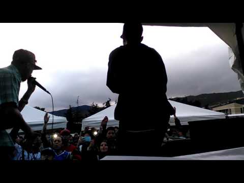 PRESENCIA VERBAL - TOCANCICRACK