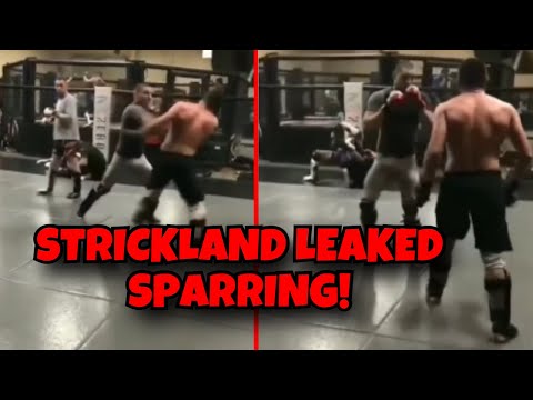 Hartes SPARRING! Sean Strickland gegen diesen UFC Fighter!