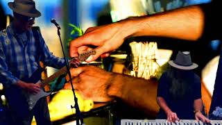 LIVE TO BE FREE OR ELSE.