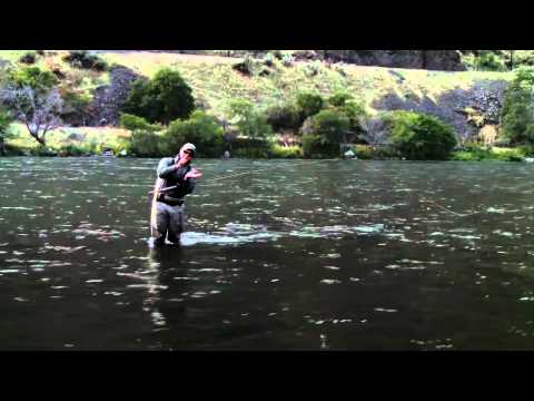 Advanced Anchor Placement