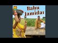 Bahu Jamidar