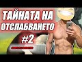Тайната на успешното отслабване #2. Контролирай ситостта!