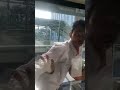 What Is Happening In China Right Now Zombie Apocalypse Shorts