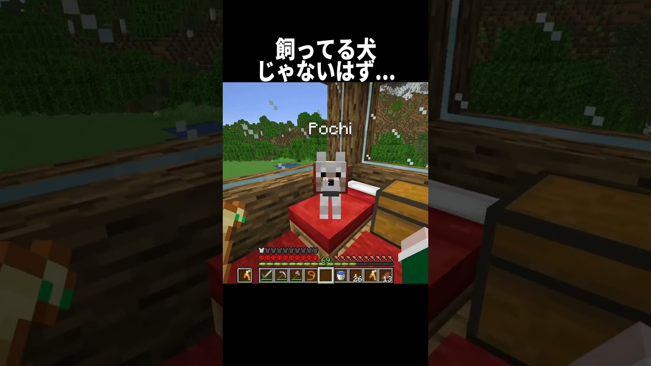 飼ってる犬じゃないはず... #shorts #マインクラフト#マイクラ