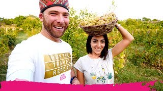 Armenian FOOD & WINE at an Armenian Wine Yard + Making Vodka | Ashtarak, Armenia